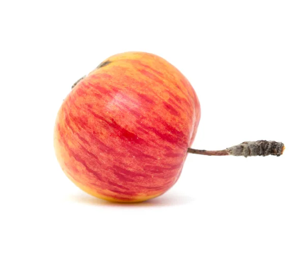 Red apple on a white background — Stock Photo, Image