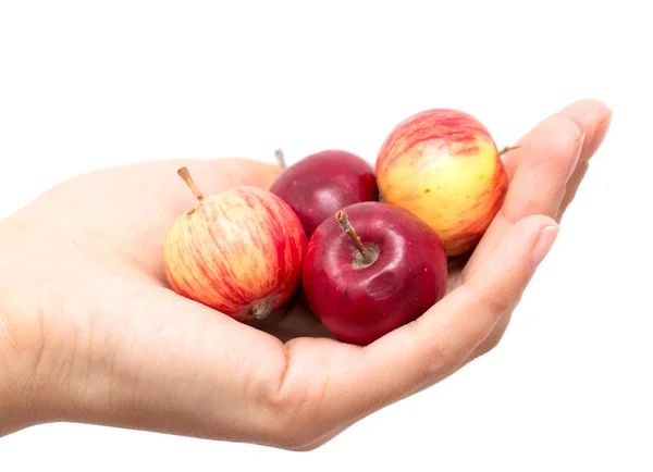 Manzana en mano sobre fondo blanco — Foto de Stock