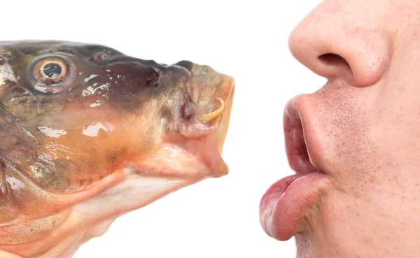 Kiss a fish on a white background — Stock Photo, Image