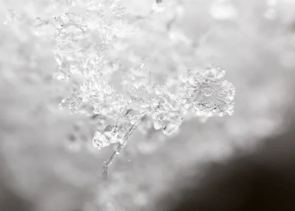 Nieve en la naturaleza como fondo. macro —  Fotos de Stock