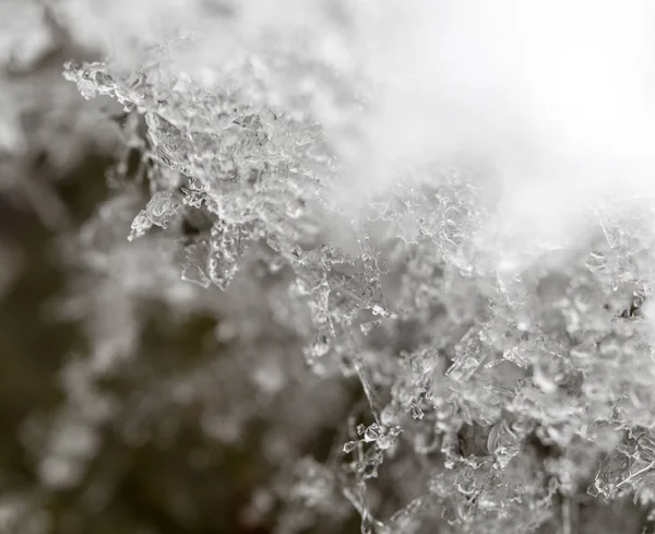Сніг у природі як фон. макрос — стокове фото