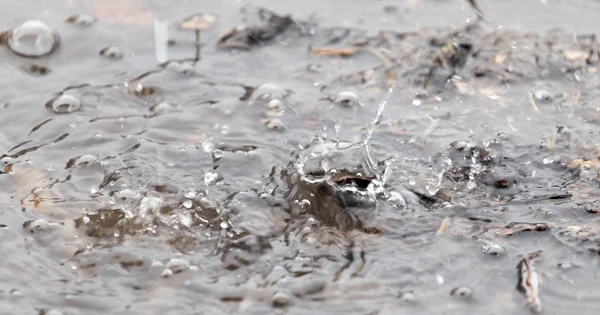 Вода брызгает в лужу дождя — стоковое фото