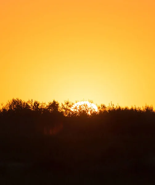 背景として美しい夕日 — ストック写真