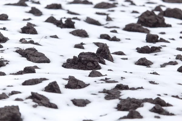 Schwarze Erde im Schnee auf der Natur — Stockfoto