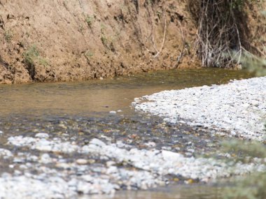 küçük bir nehir kıyısında