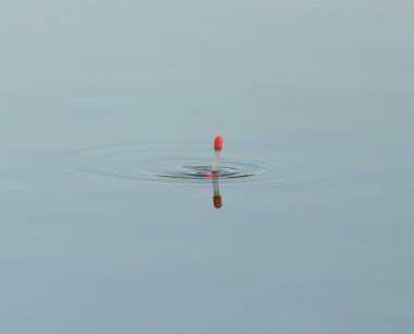 float balık su için