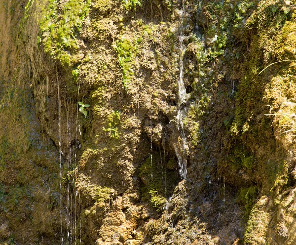 Dağlarda bir kaynaktan su — Stok fotoğraf