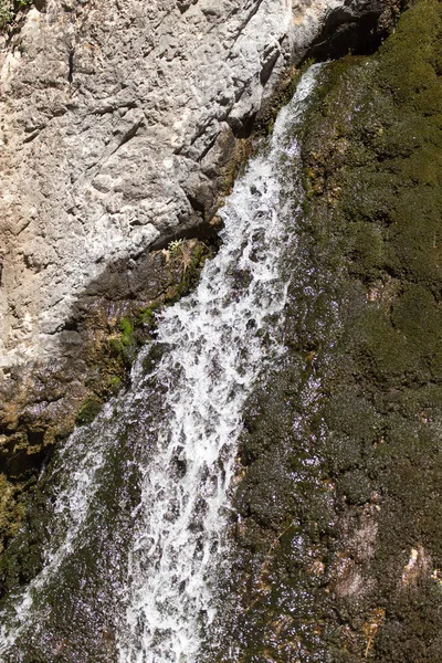Dağlarda bir kaynaktan su — Stok fotoğraf