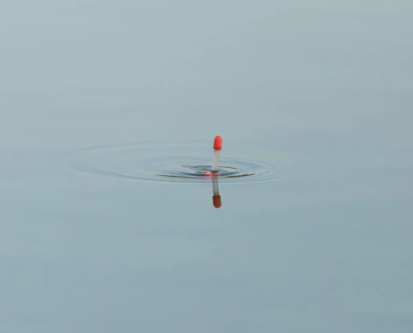 Float voor de visserij op het water — Stockfoto