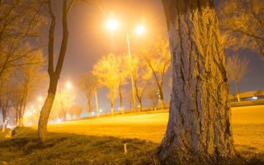 yol arabalar hareketli gece