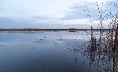 Gölde güzel bir gün batımı