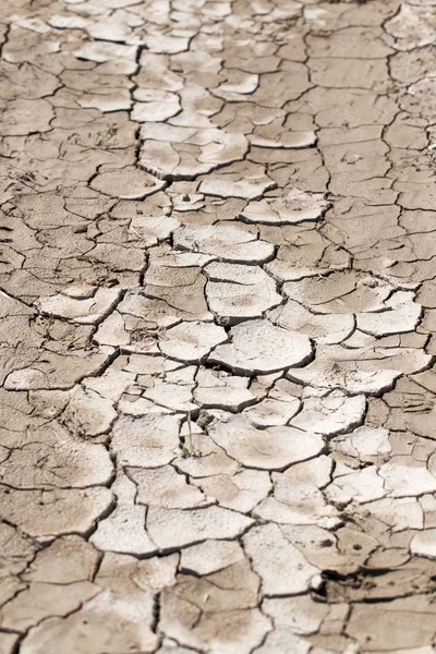 Terra rachada como um fundo. textura — Fotografia de Stock