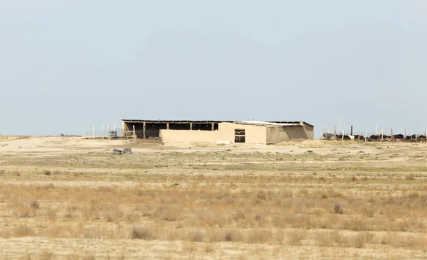 House in the wilderness. Kazakhstan — Stock Photo, Image