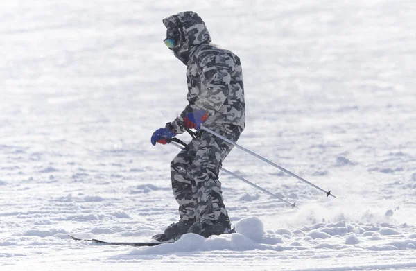 사람들이 겨울에는 스키 — 스톡 사진