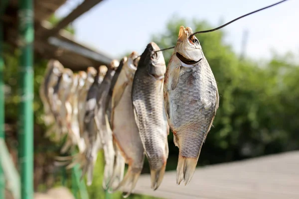 Sun-dried salted fish in the air — Stock Photo, Image