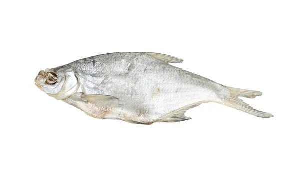 Szárított hal fehér alapon — Stock Fotó