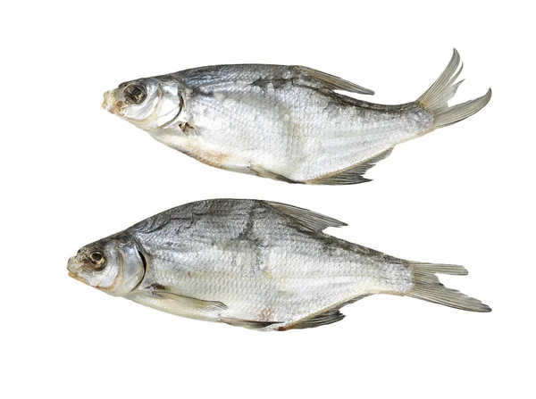 Dried fish on a white background — Stock Photo, Image