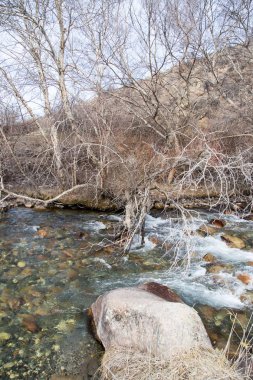 Kazakistan'ın dağ nehir doğada