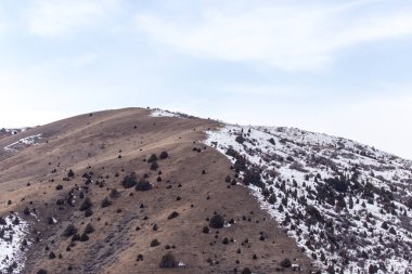 Tien Shan dağlarında kışın doğa. Kazakistan
