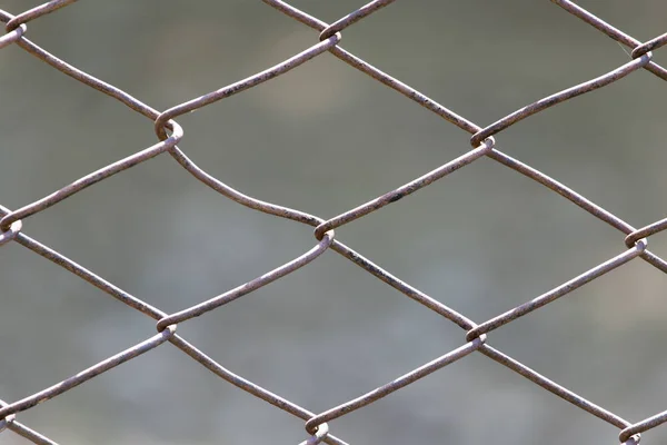 Metalen gaas in de natuur als achtergrond — Stockfoto