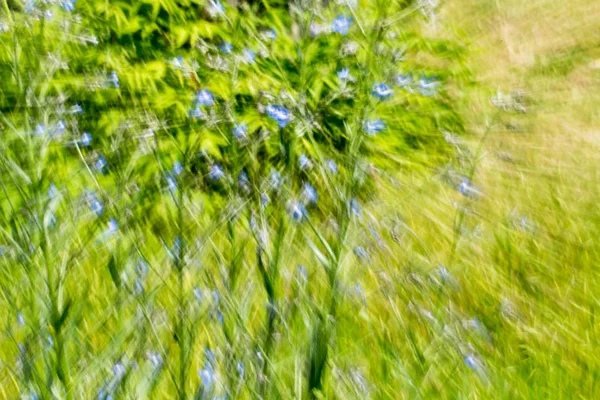 Abstrakt grön bakgrund av naturen i rörelse — Stockfoto