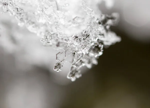 Snow in nature as a background. macro — Stock Photo, Image