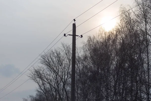 Електричний полюс на світанку на природі — стокове фото