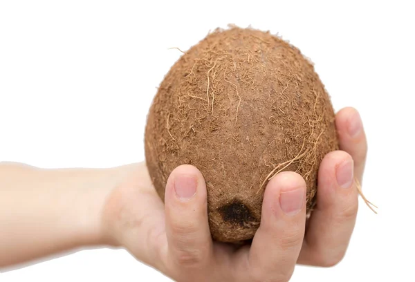 Kokosnuss in der Hand auf weißem Hintergrund — Stockfoto