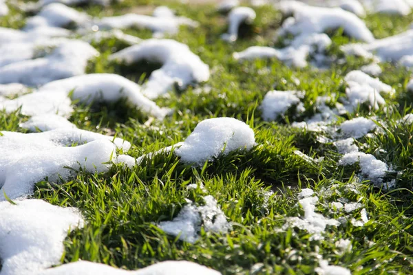 Sneeuw op het groene gras in de natuur — Stockfoto