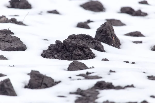Černá půda ve sněhu na přírodě — Stock fotografie
