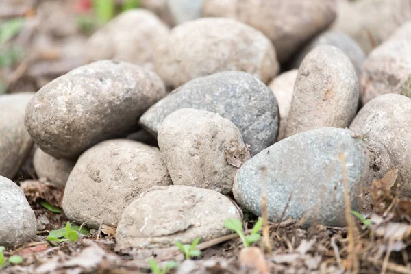 Steine in der Natur als Hintergrund — Stockfoto