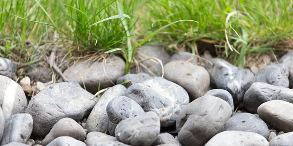 Stenen aan de natuur als achtergrond — Stockfoto