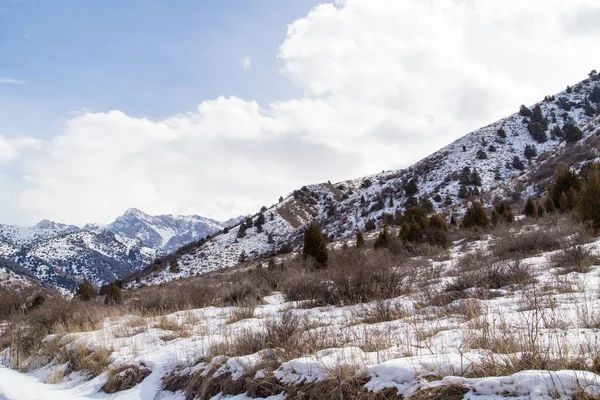 Χιονισμένα βουνά του Tian Shan το χειμώνα — Φωτογραφία Αρχείου