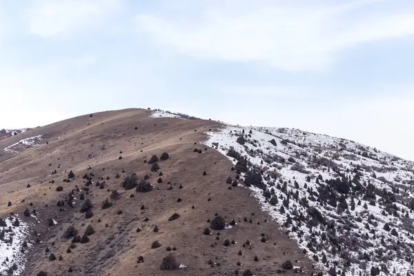 Natureza nas montanhas Tien Shan no inverno. Cazaquistão — Fotografia de Stock