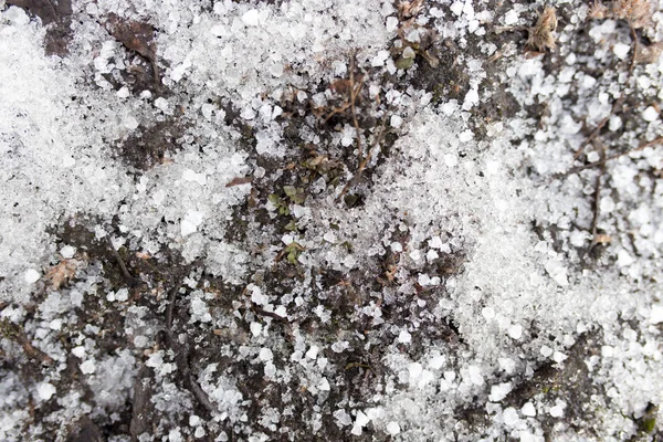 自然の雪の中の黒い土は ロイヤリティフリーのストック画像