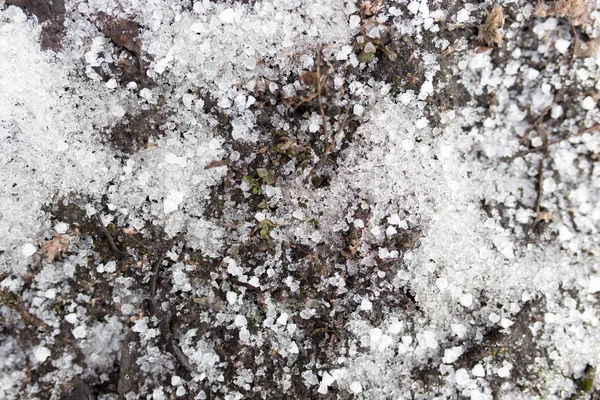 Tierra negra en la nieve en la naturaleza Imágenes De Stock Sin Royalties Gratis