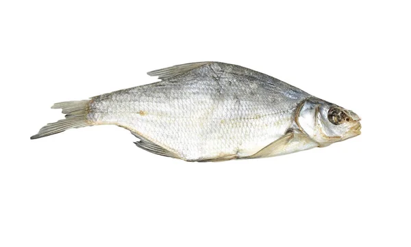 Peixe seco sobre um fundo branco — Fotografia de Stock