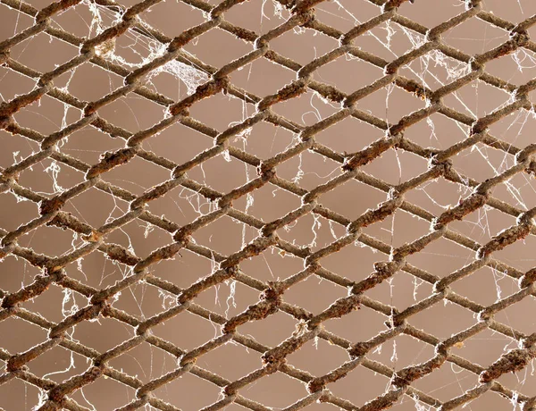 Old rusty metal grid as a background — Stock Photo, Image