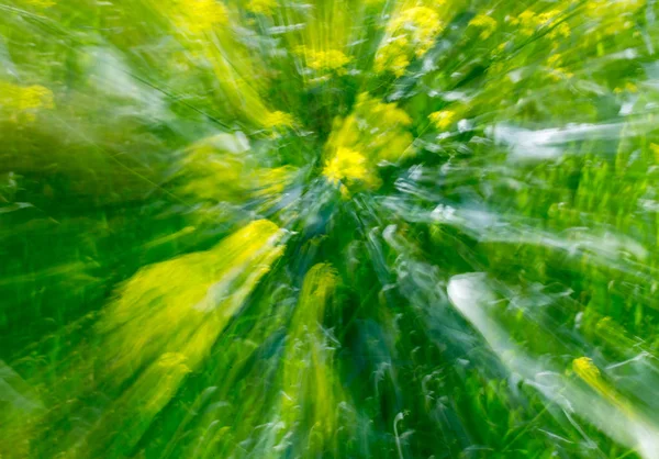 Abstrakter grüner Hintergrund der Natur in Bewegung — Stockfoto