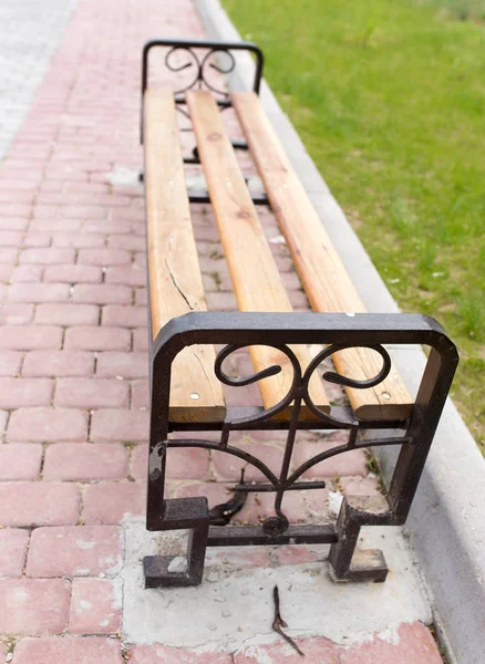 Bench on the pavement in the park — Stock Photo, Image