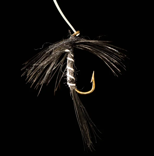 Moucha chytit ryby na černém pozadí — Stock fotografie