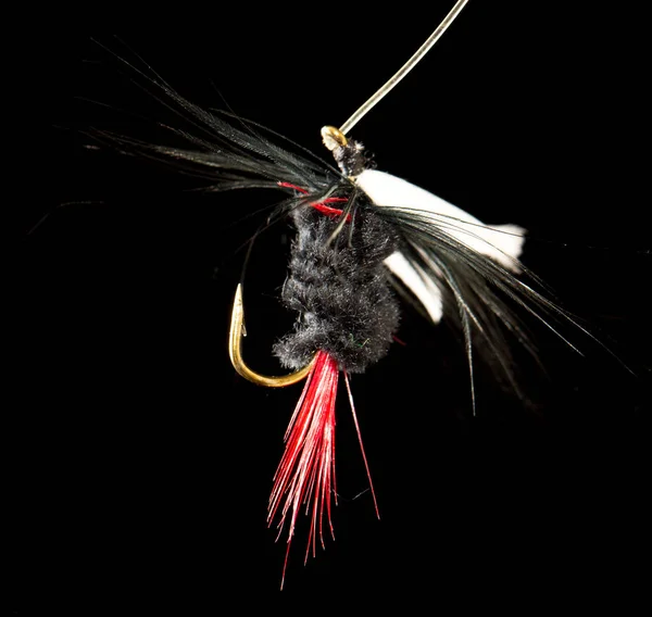 Fliegen, um Fische auf schwarzem Hintergrund zu fangen — Stockfoto