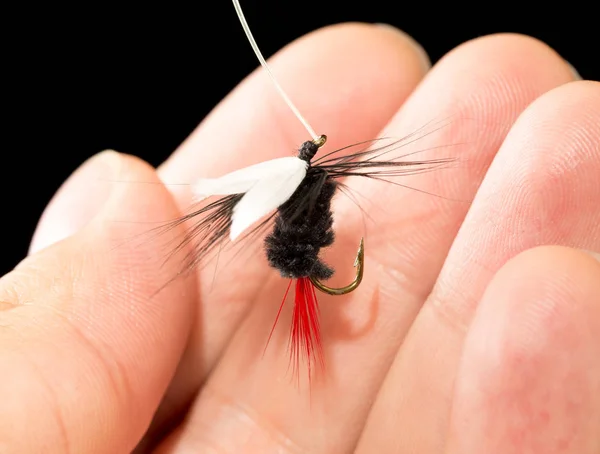 Fliege, um Fische in der Hand auf schwarzem Hintergrund zu fangen — Stockfoto