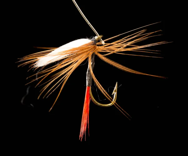 Fly to catch fish on a black background — Stock Photo, Image