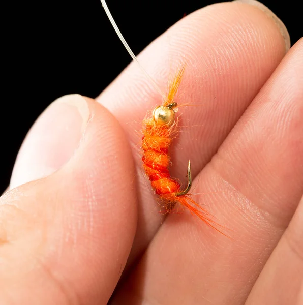 Volare per catturare il pesce in una mano su uno sfondo nero — Foto Stock