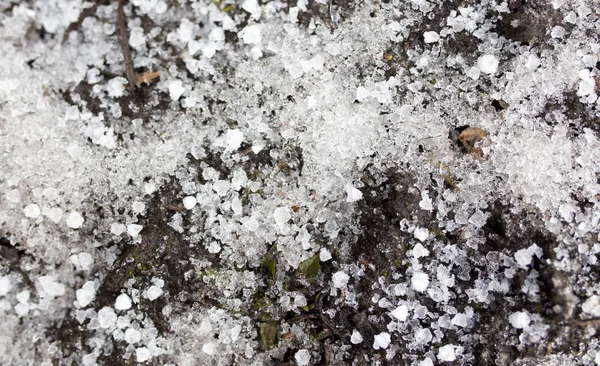 Svart jord i snön på naturen — Stockfoto