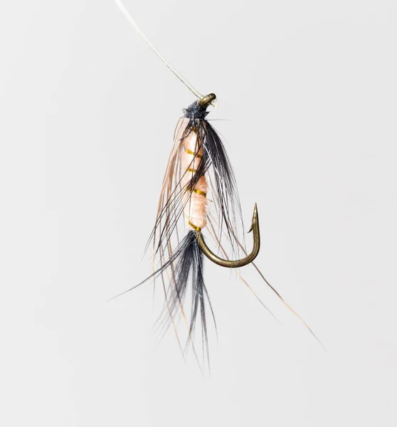 Fly for fishing on a white background — Stock Photo, Image