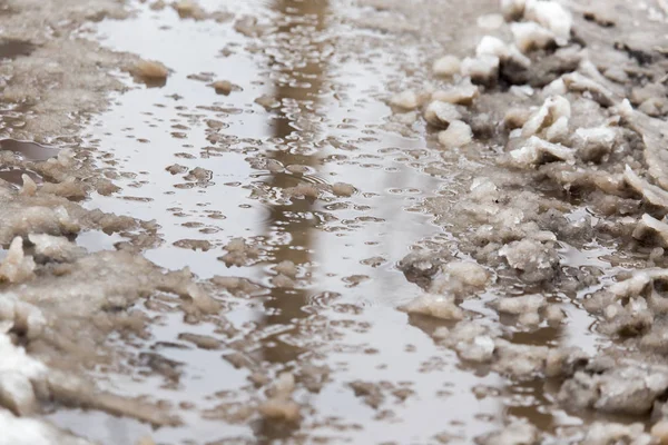 冬の雨の水たまり — ストック写真