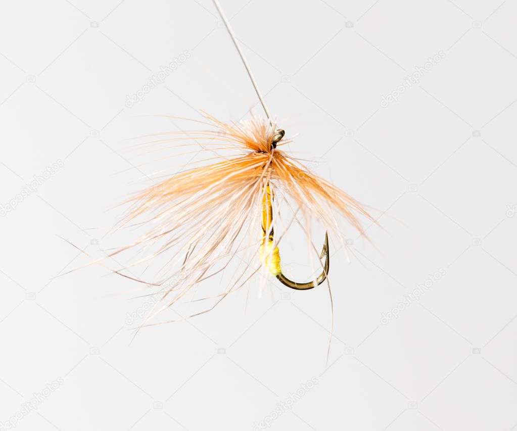 fly for fishing on a white background