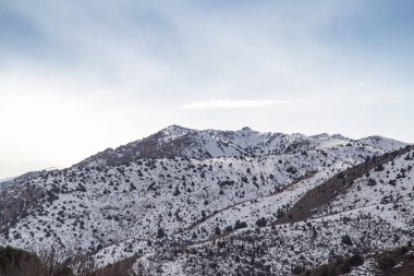 Tien Shan dağlarında kışın doğa. Kazakistan